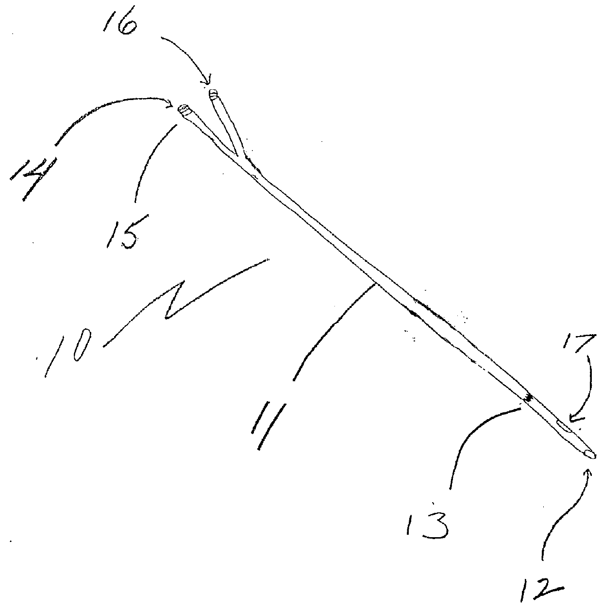 Dual lumen microcatheter