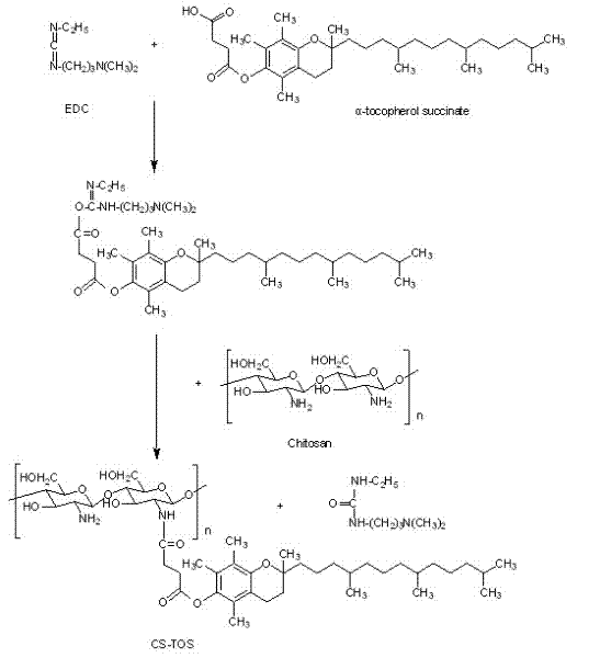 Vitamin E succinate-chitosan graft and preparation method and application thereof