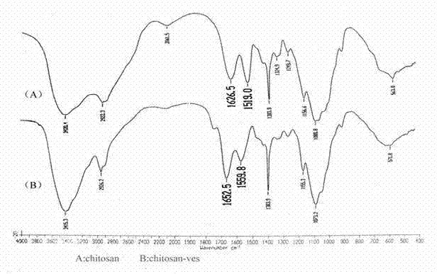 Vitamin E succinate-chitosan graft and preparation method and application thereof