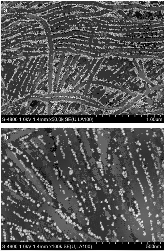 Loaded drug sustained release composite tissue repairing material and preparation method thereof