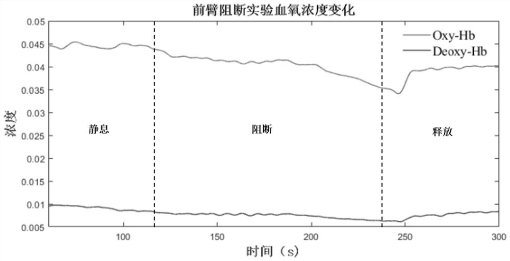 Cerebral blood oxygen detection system and method