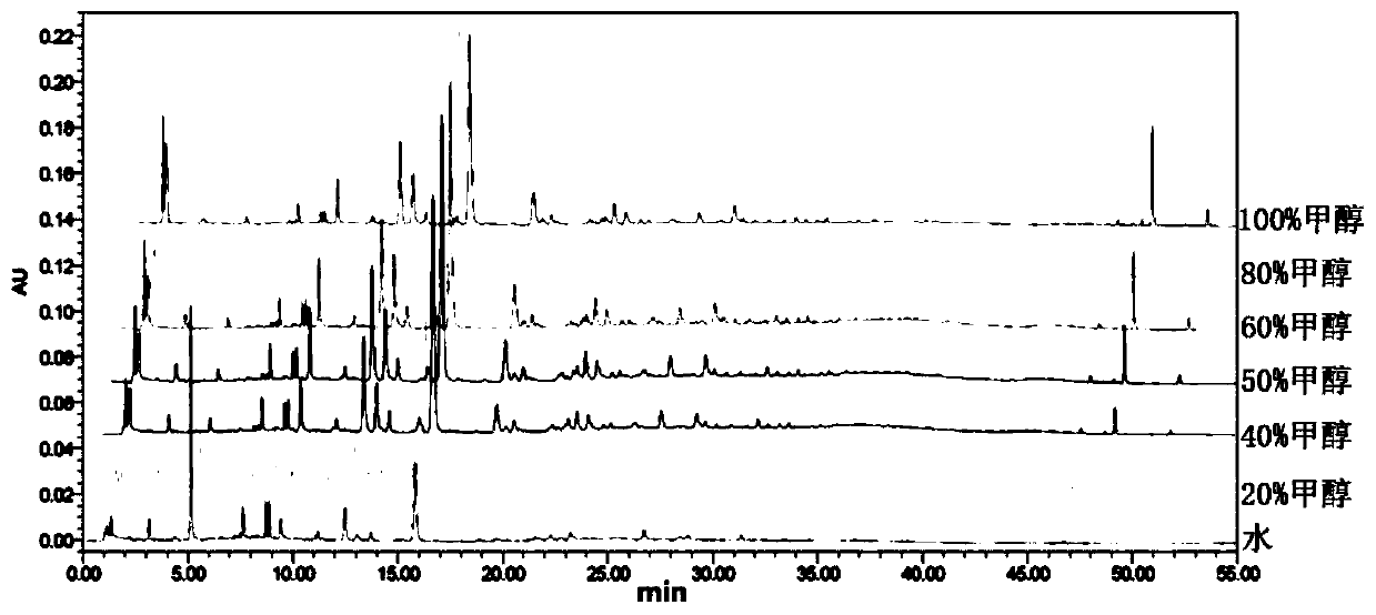 Multi-component quality control method for callicarpa nudiflora