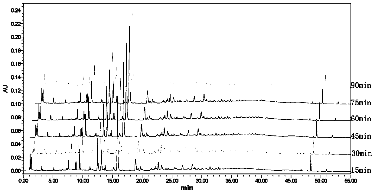 Multi-component quality control method for callicarpa nudiflora