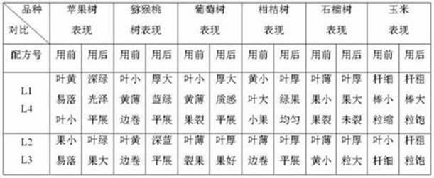 Vegetable active organic calcium nutrient solution and preparation method thereof