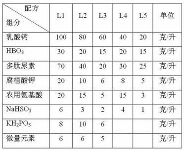 Vegetable active organic calcium nutrient solution and preparation method thereof