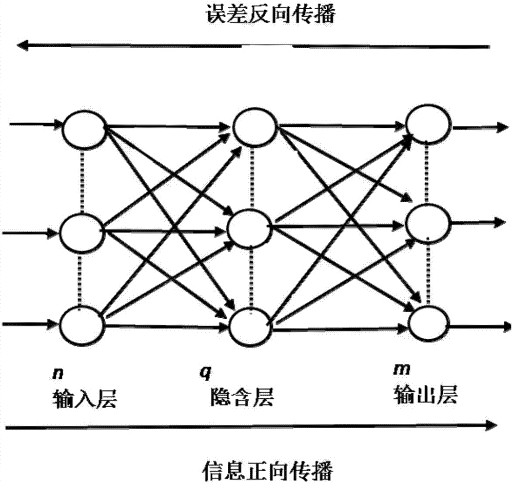 Watermark embedding and extraction method and device based on dynamic BP nerve network