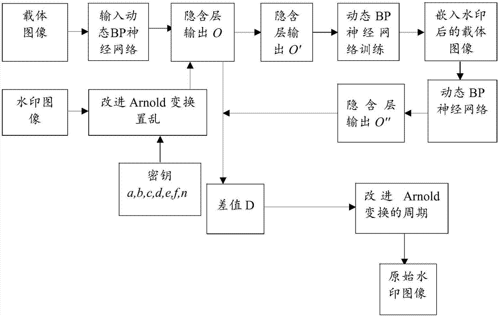 Watermark embedding and extraction method and device based on dynamic BP nerve network