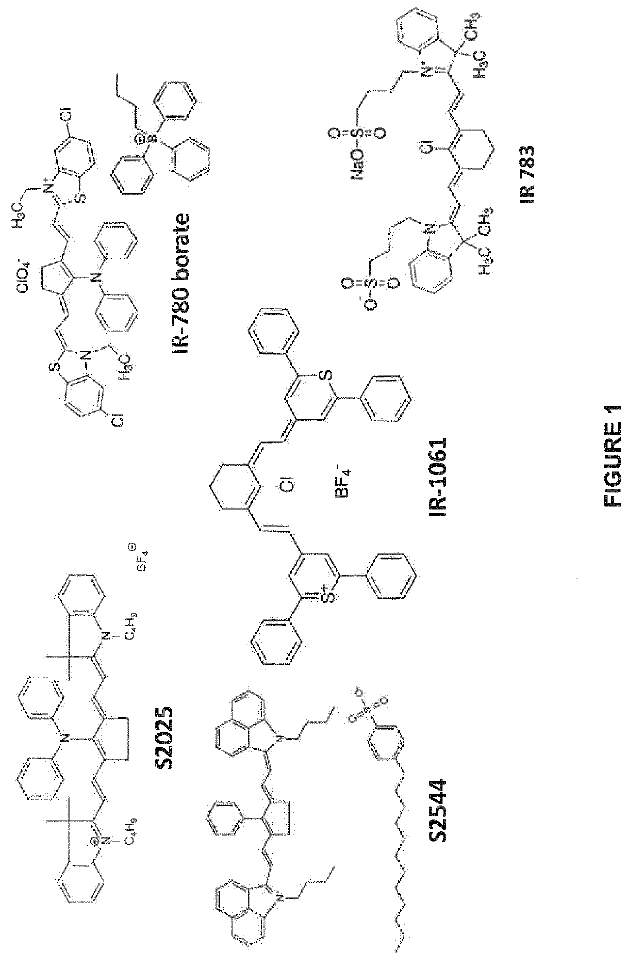 Thermal amplification of free radical polymerization induced by red to near-infrared irradiation