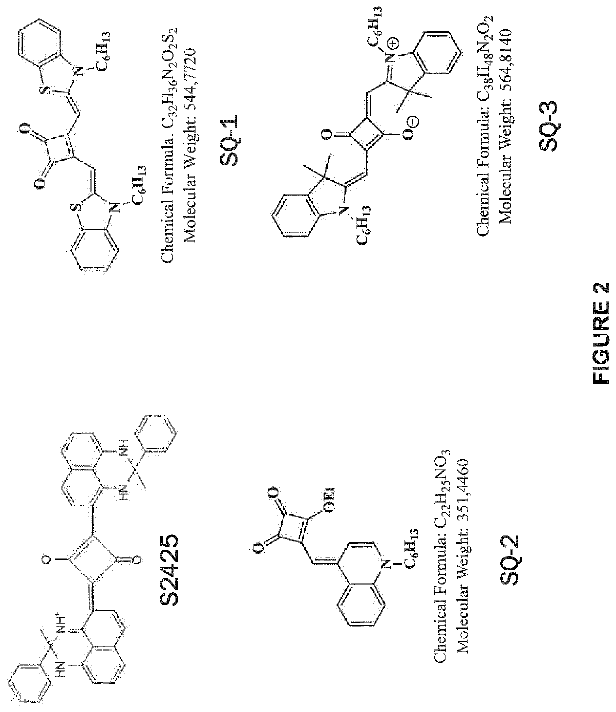 Thermal amplification of free radical polymerization induced by red to near-infrared irradiation