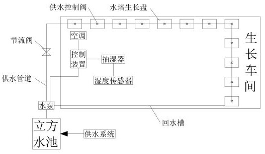 Chicory three-dimensional hydroponic intelligent digital temperature control growth system