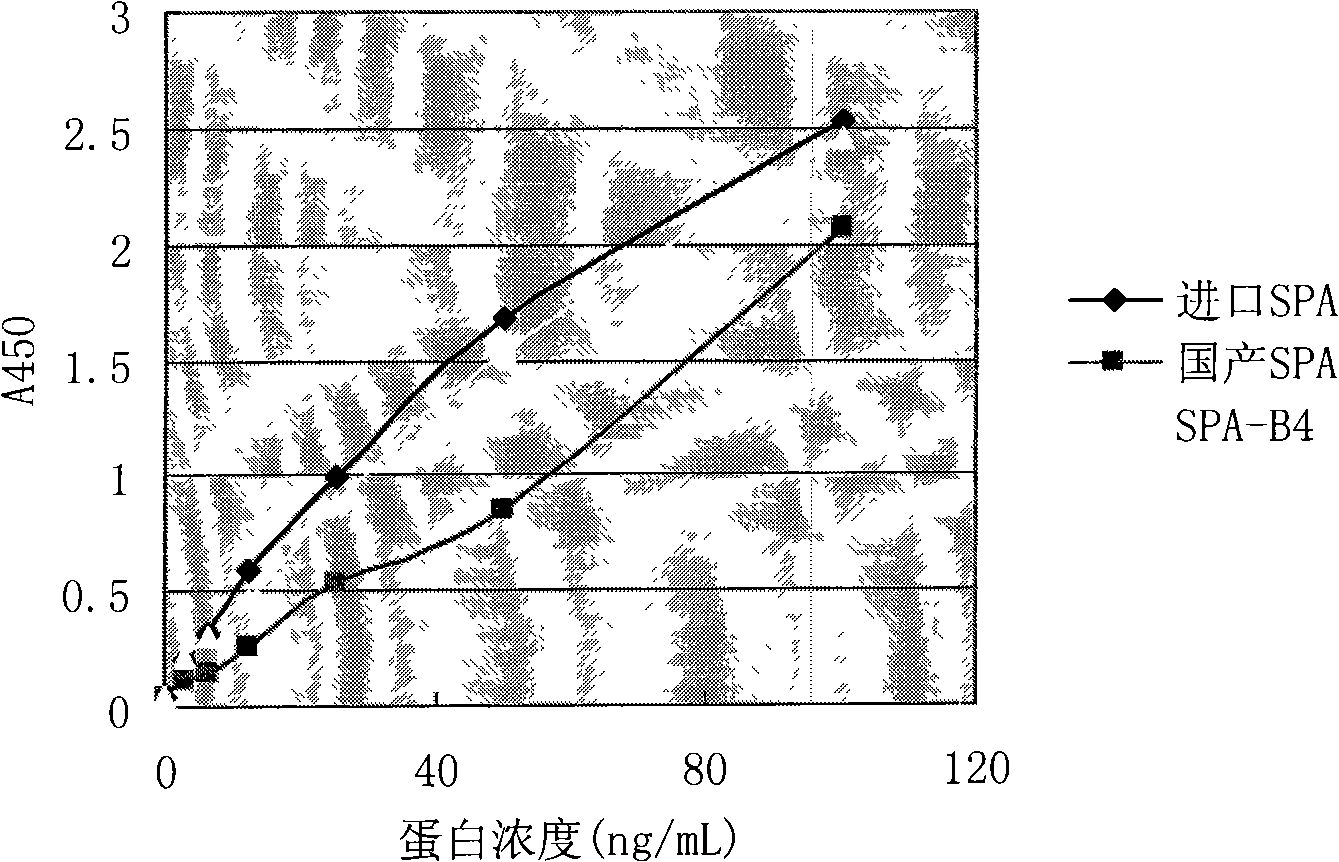 Artificial recombinant tetrad protein A, construction method and use thereof