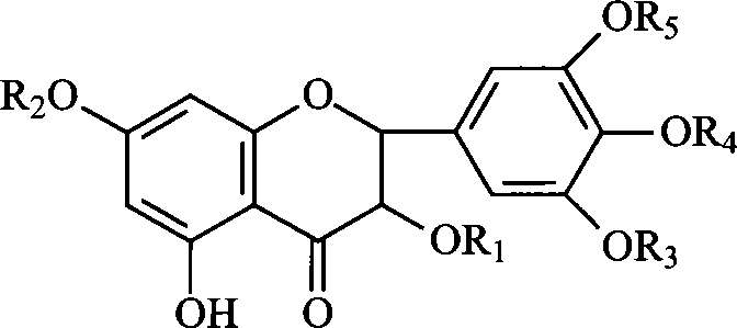 Ampelopsin derivative, synthesizing method thereof and application of the same in preparing antineoplastic medicine