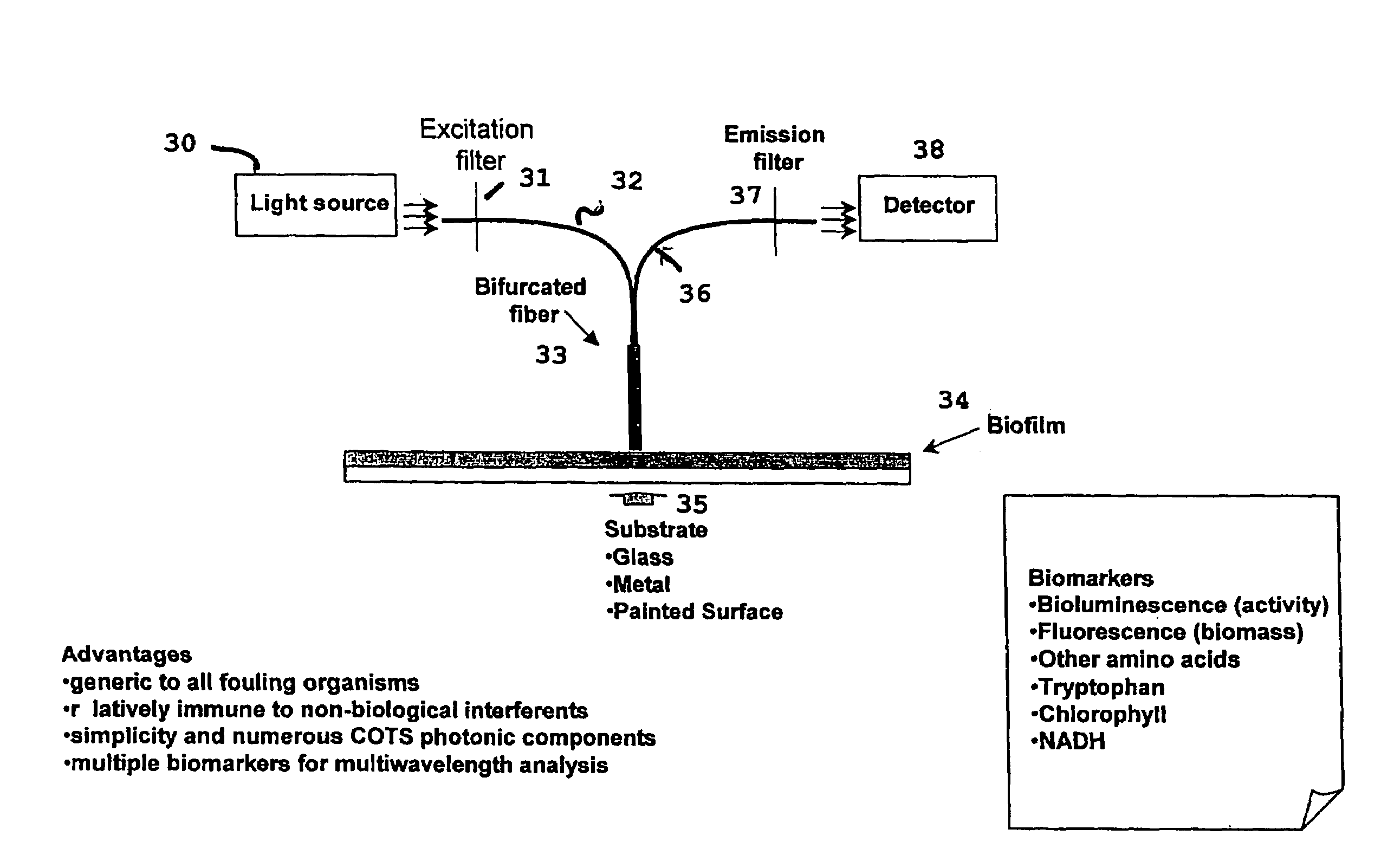 Real-time biofilm monitoring system