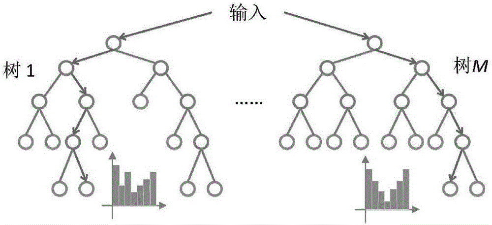 Driving style estimation method based on driving pattern transition probability