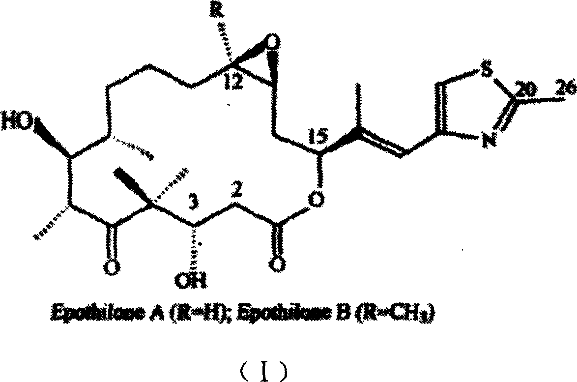 Method for highly-effective producing epothilone using myxobacteria sorangium cellulosum