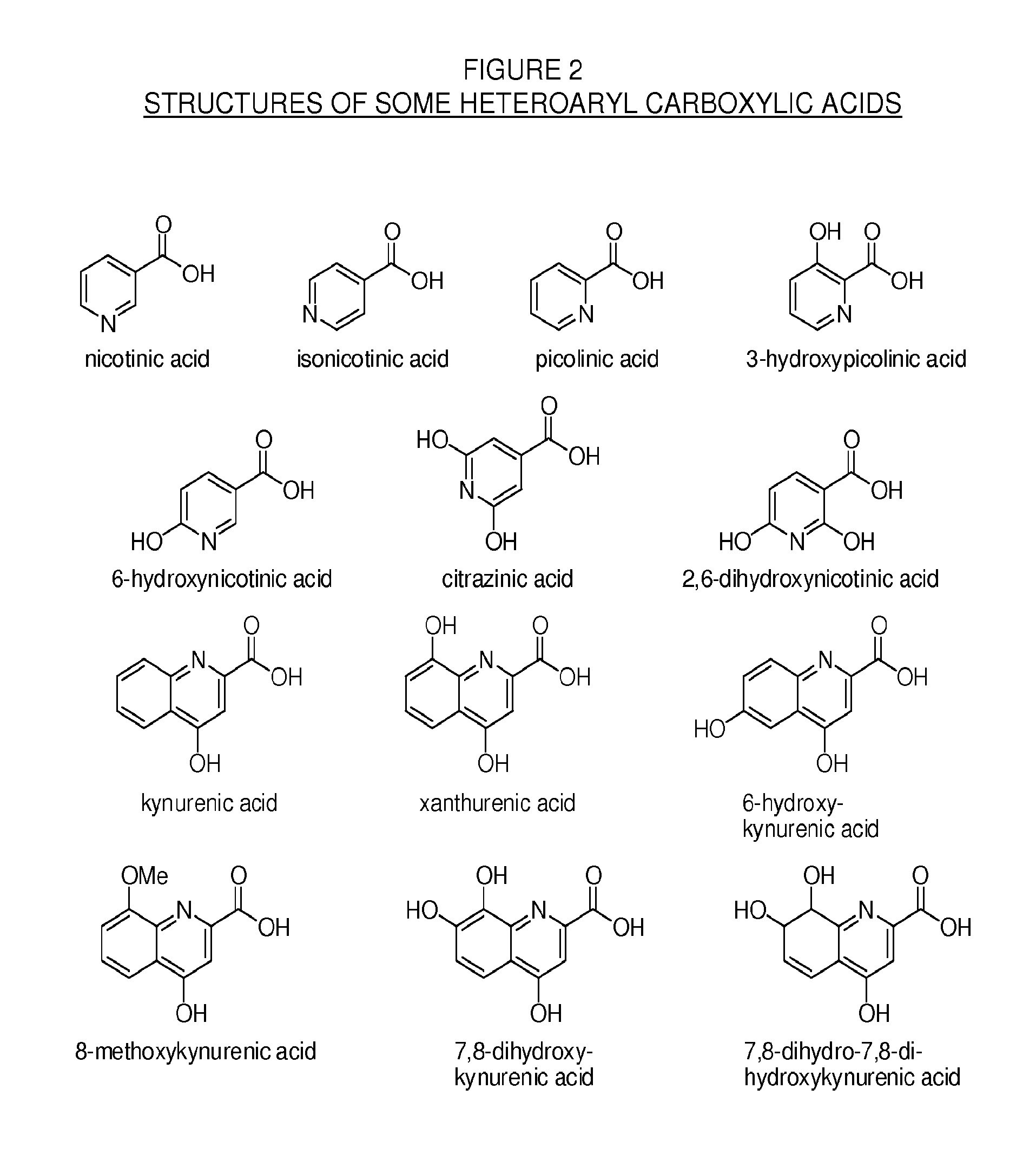 Methylphenidate-oxoacid conjugates, processes of making and using the same