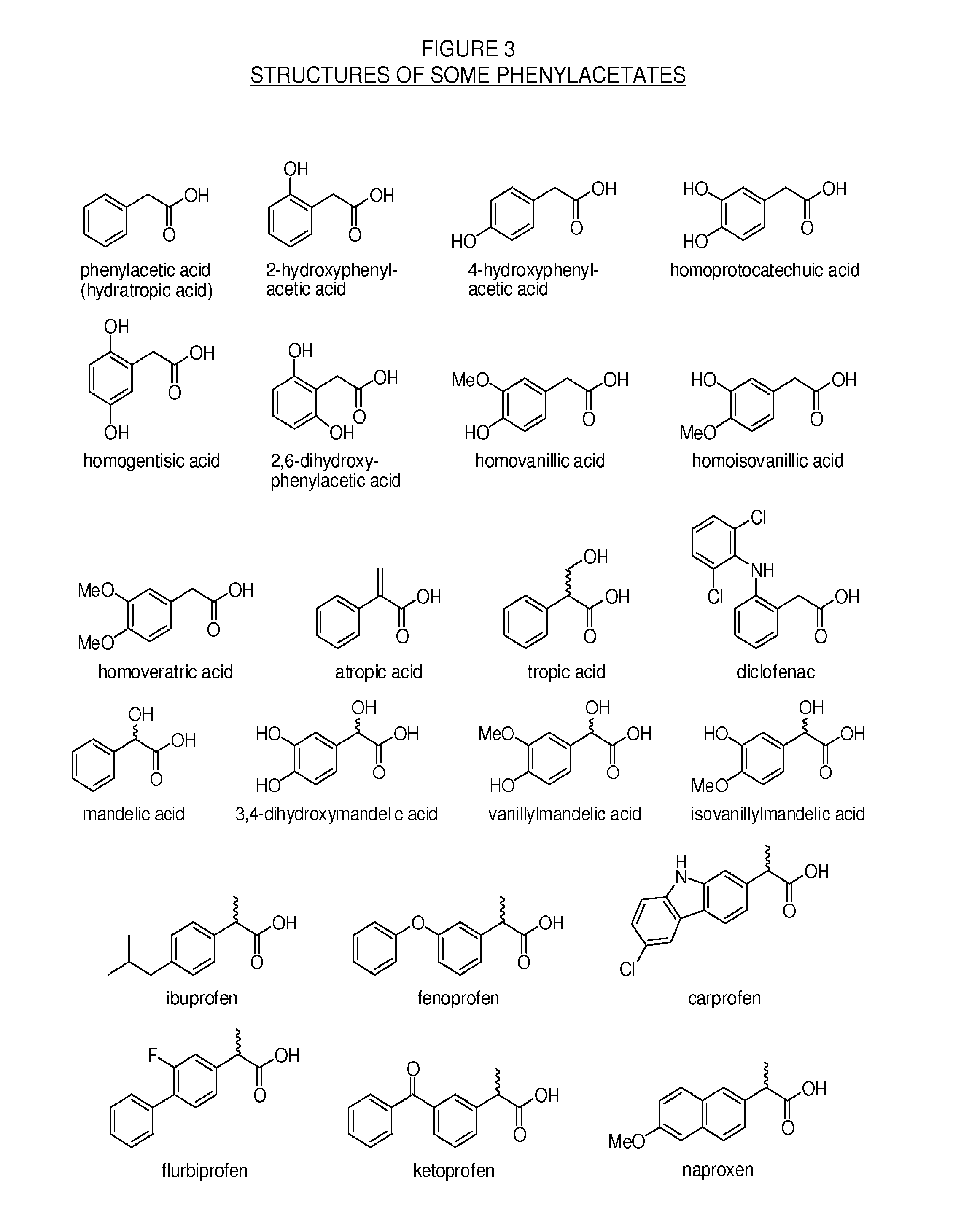 Methylphenidate-oxoacid conjugates, processes of making and using the same