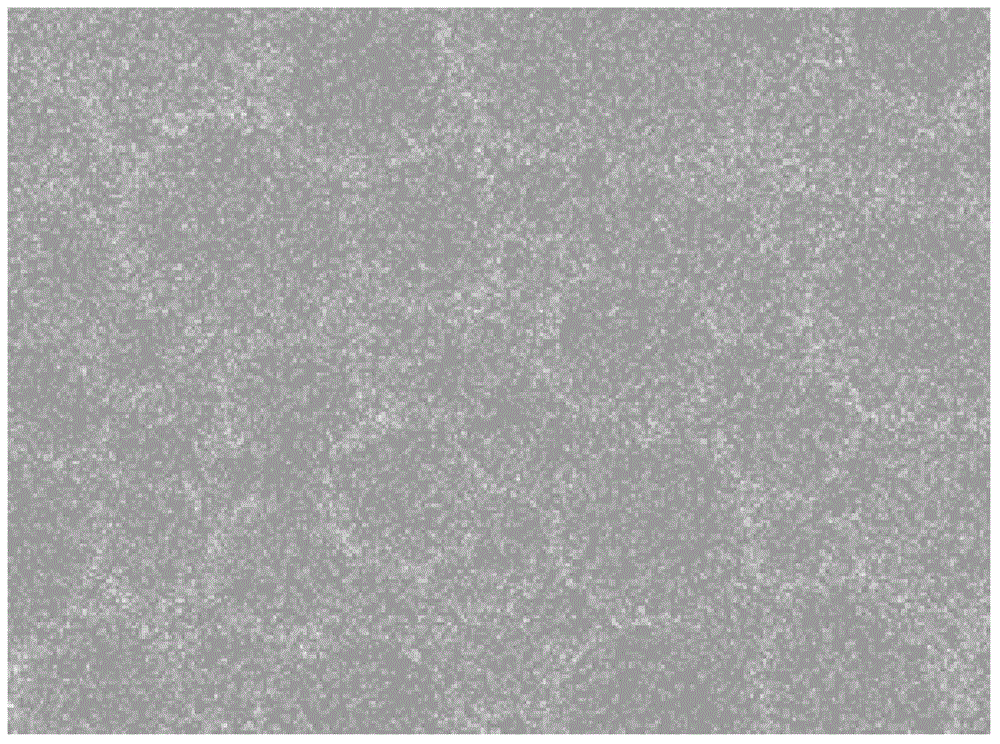 Precious metal nanoparticle-modified porous carrier catalytic material and preparation method thereof