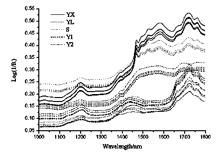 Method for performing lossless identification on brands of steel structure fireproof paints by applying near infrared spectroscopy