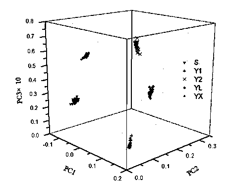 Method for performing lossless identification on brands of steel structure fireproof paints by applying near infrared spectroscopy