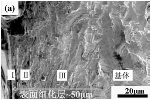 Surface multi-scale structure tungsten material and preparation method of material