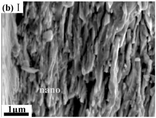 Surface multi-scale structure tungsten material and preparation method of material