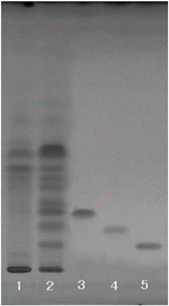 Reversed-phase thin-layer chromatographic method for identifying florists chrysanthemum and bo chrysanthemum