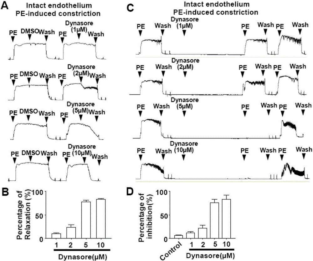 Application of chondriokinesis inhibitor in preparation of medicines for preventing and treating hypertension