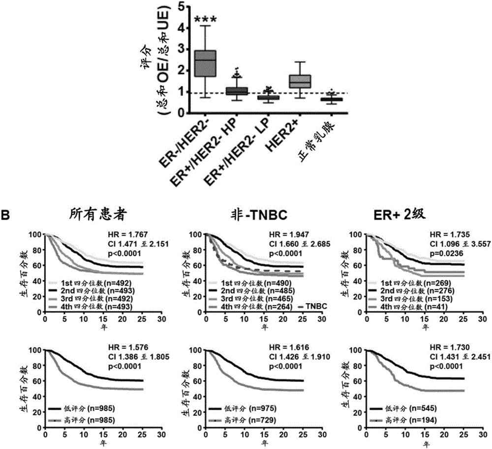 Determining cancer agressiveness, prognosis and responsiveness to treatment