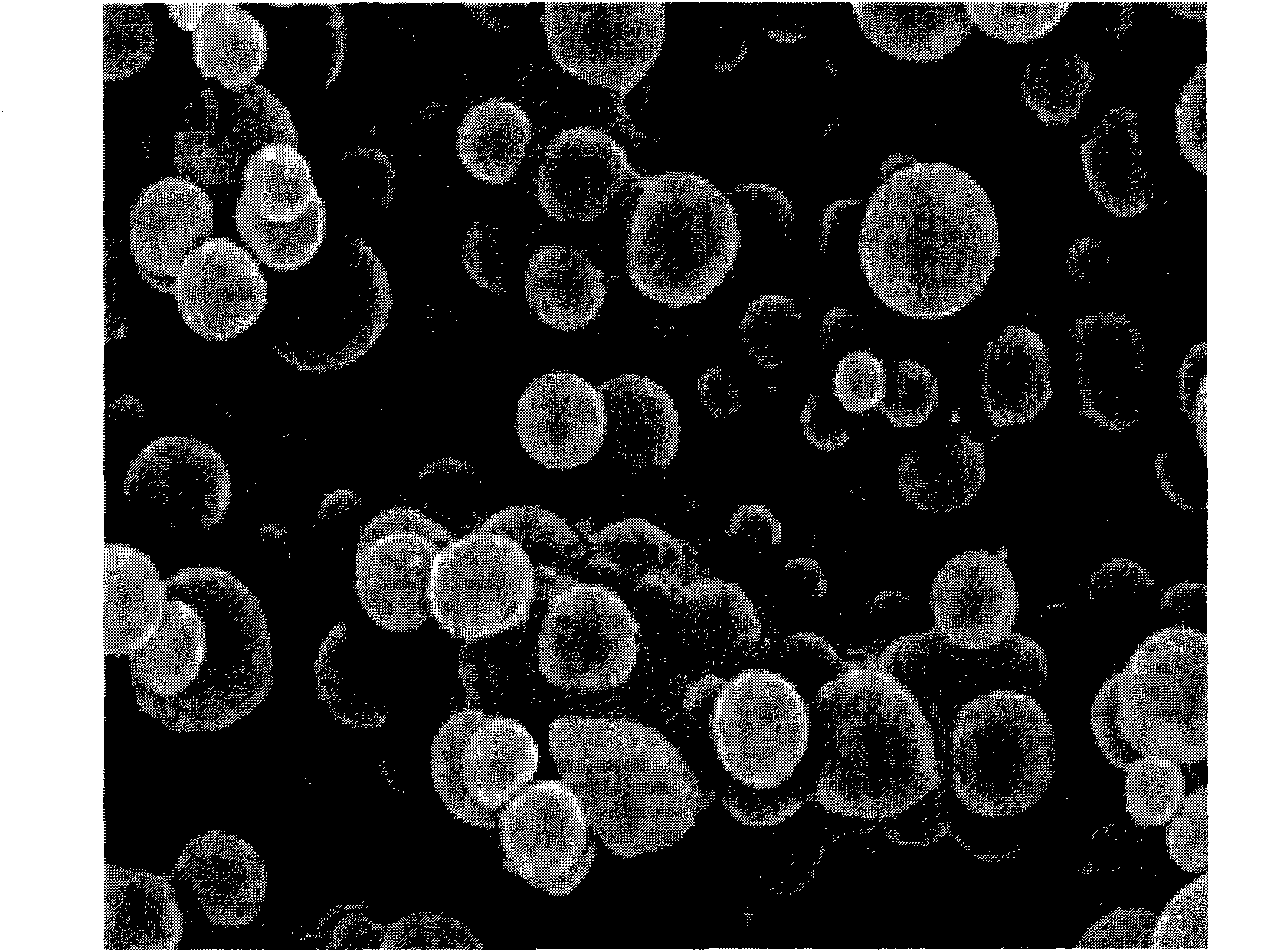 Method for preparing calcium carbonate microspheres