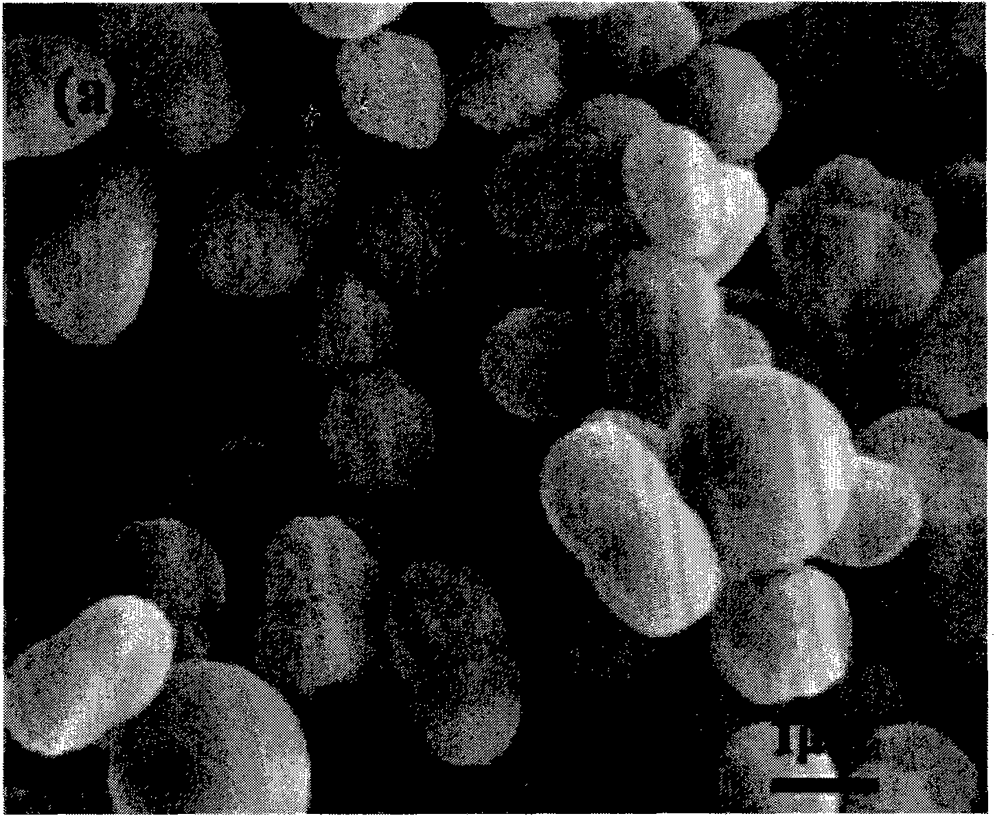 Method for preparing calcium carbonate microspheres