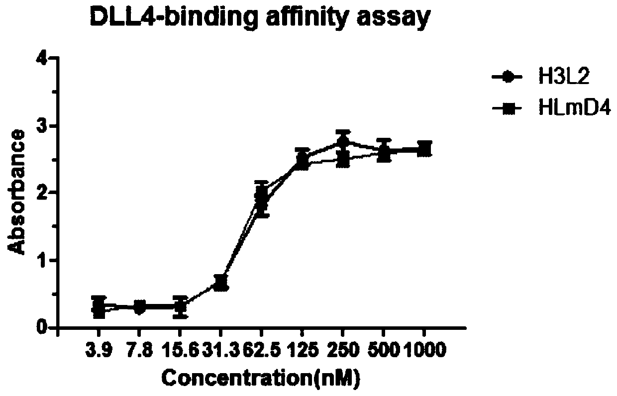 Conjugate of anti-human DLL4 humanized antibody and maytansine alkaloid DM1, preparation method and application thereof