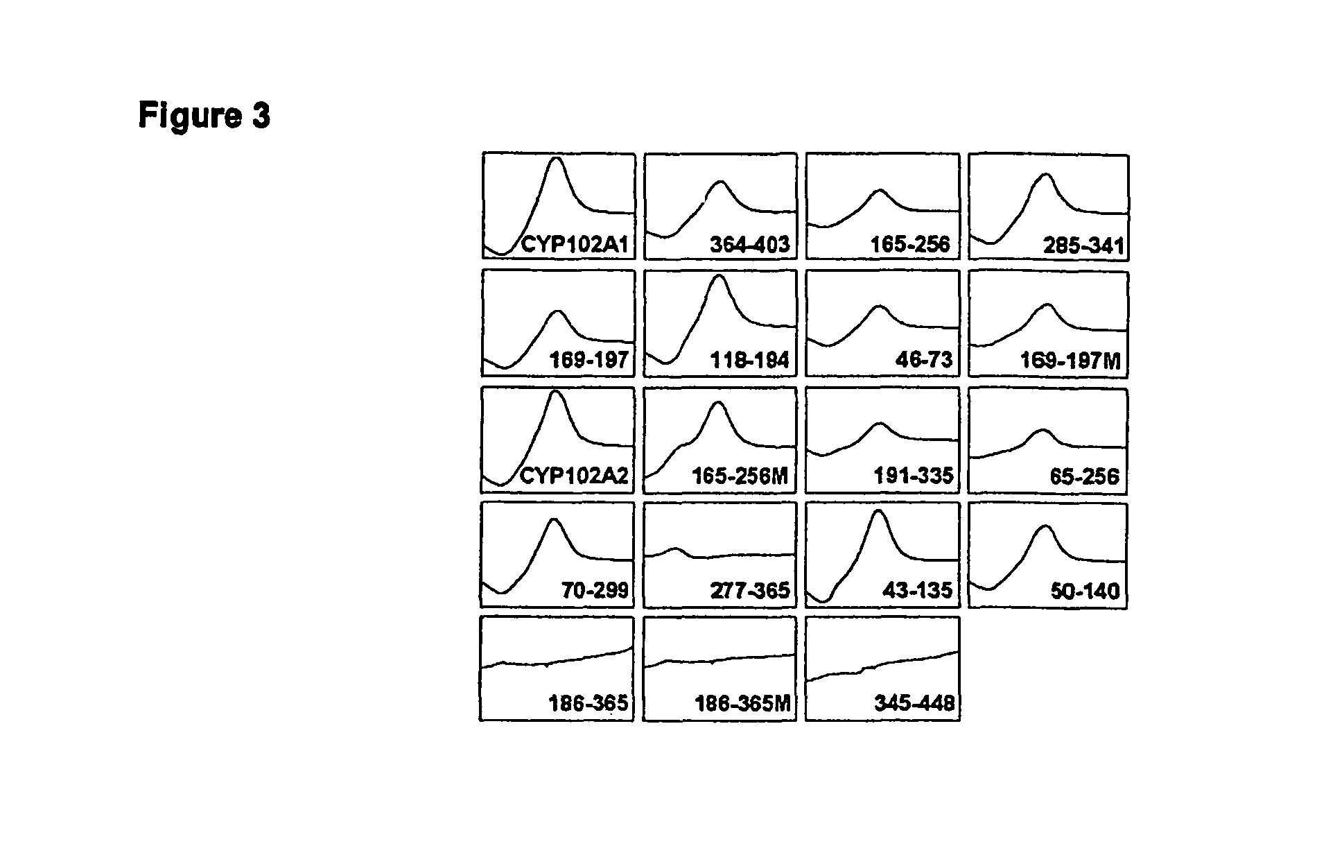 Libraries of optimized cytochrome P450 enzymes and the optimized P450 enzymes