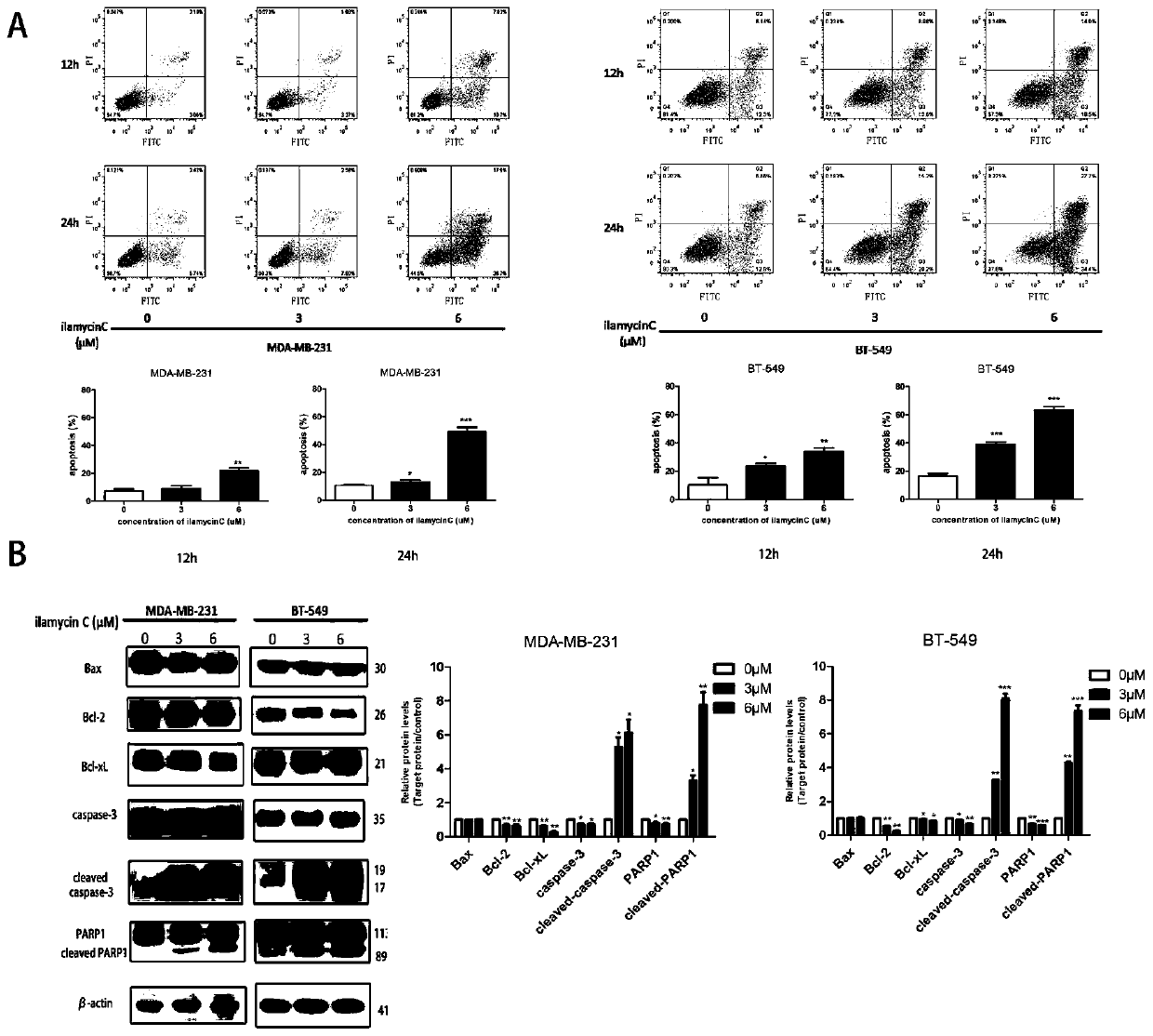 Application of compound ilamycin C and homologues thereof in preparation of drugs for treating triple negative breast cancer