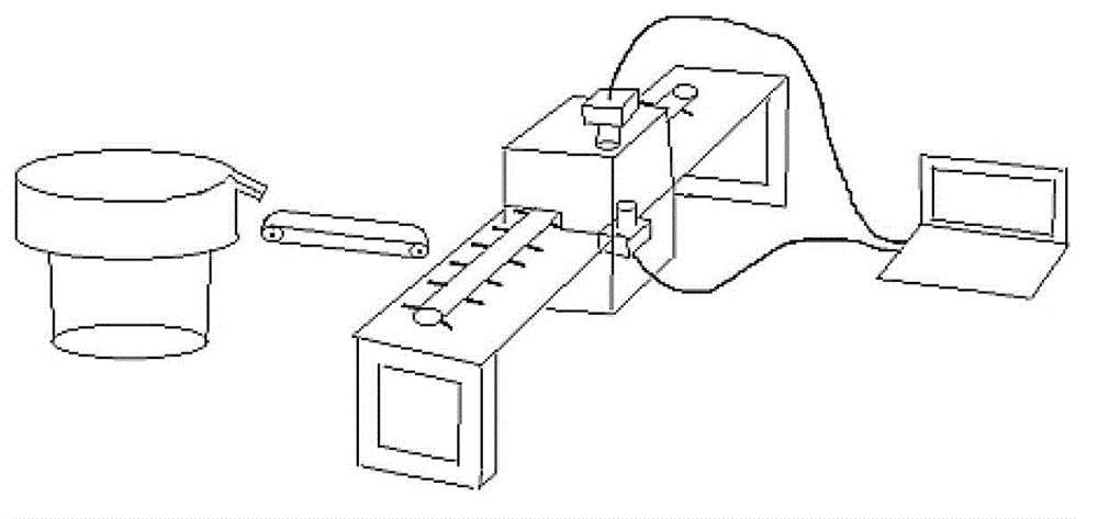 Seed sorting system