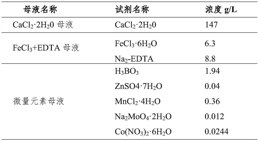 Method for efficiently producing water-soluble beta-1, 3-glucan through chrysophyceae fermentation