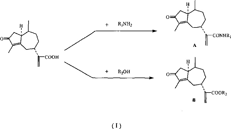 Derivates of rupestonic acid and uses thereof