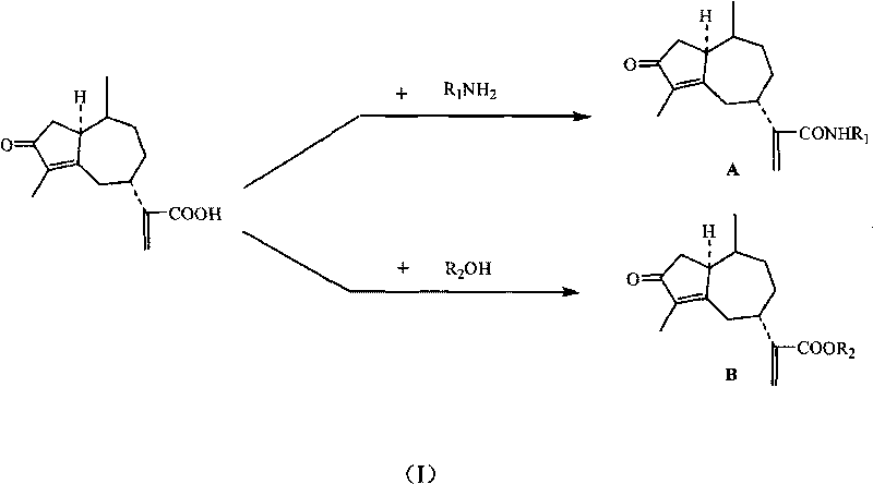 Derivates of rupestonic acid and uses thereof