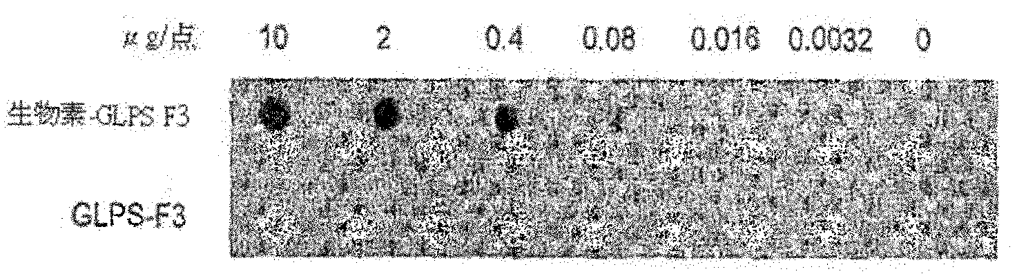 Compositions and methods for identifying response targets and treating flavivirus infection responses