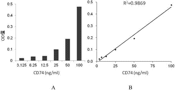 ELISA test kit of human-derived soluble CD74 protein and detection method thereof