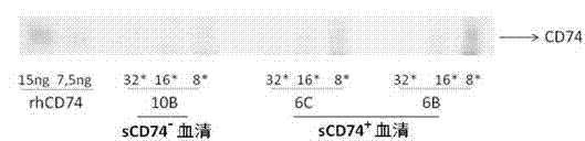 ELISA test kit of human-derived soluble CD74 protein and detection method thereof