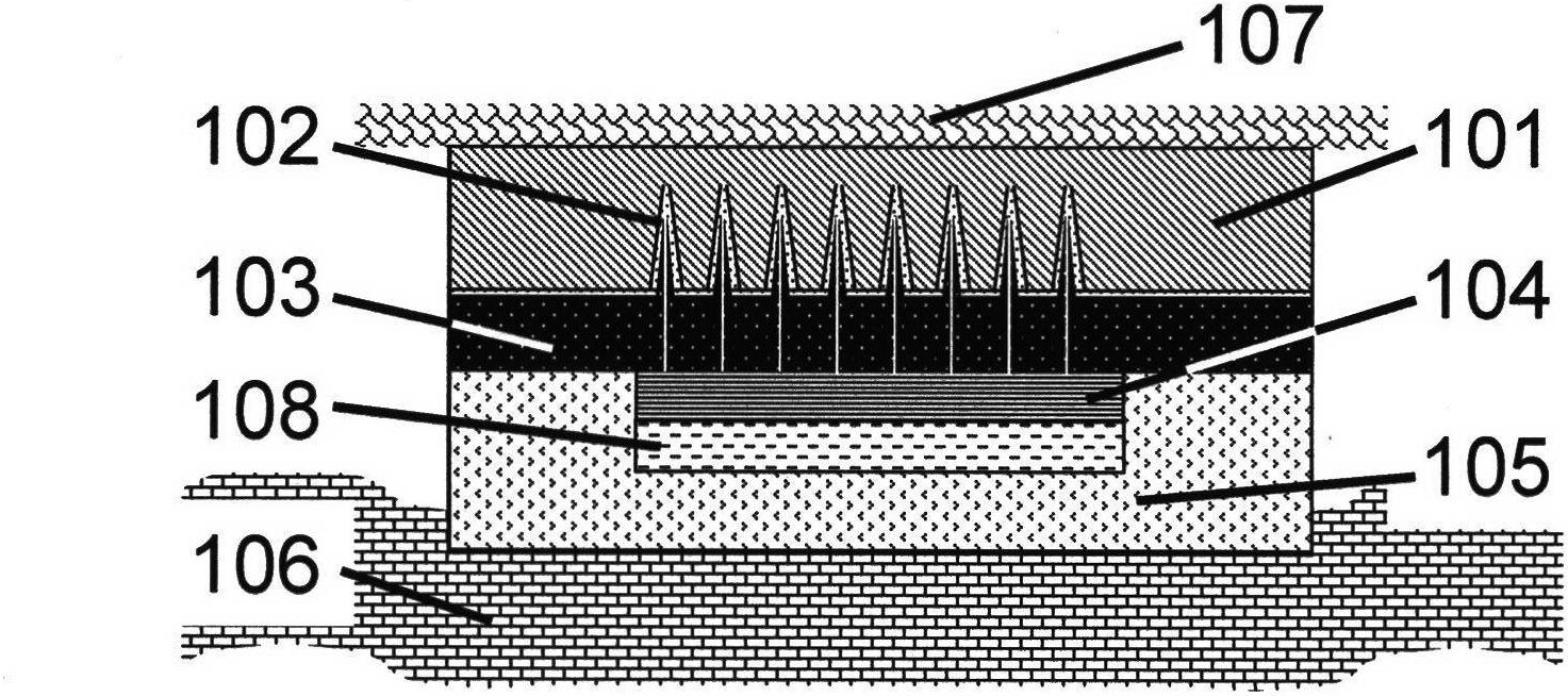 Micro-needle transdermal delivery patch with high penetration efficiency