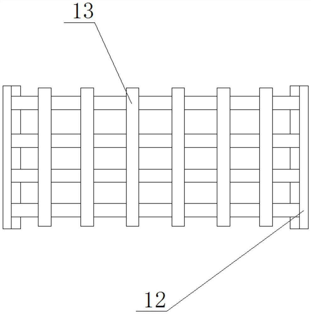 Overwintering device for whitmania pigra culture