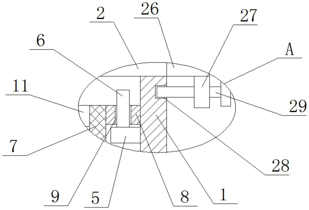 Overwintering device for whitmania pigra culture