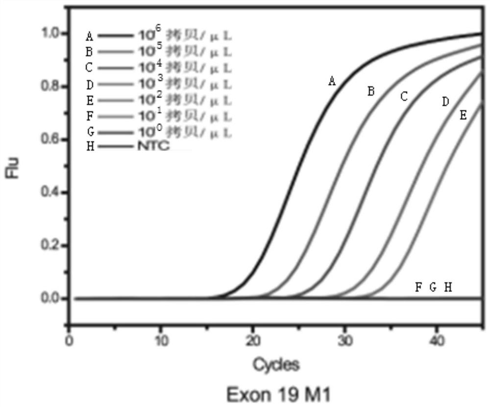 Multiple enrichment method for detection of low-frequency mutations associated with targeted drugs in non-small cell lung cancer