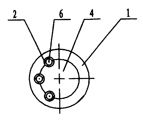 After-loading radiotherapy applicator in rectum and vaginal cavity