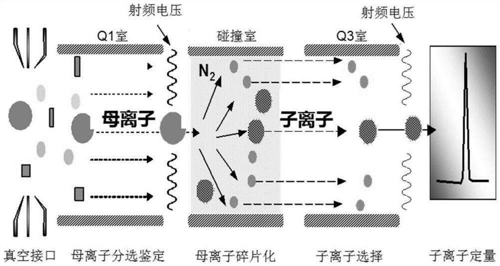 Biomarker combination for evaluating Alzheimer's disease and application and kit thereof