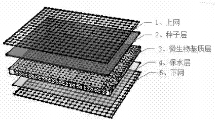 Microbial Matrix Blanket and Installation Method for Slope and Revetment Vegetation Restoration