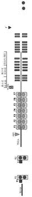 Hot rolling width model fast dynamic self-adapting method