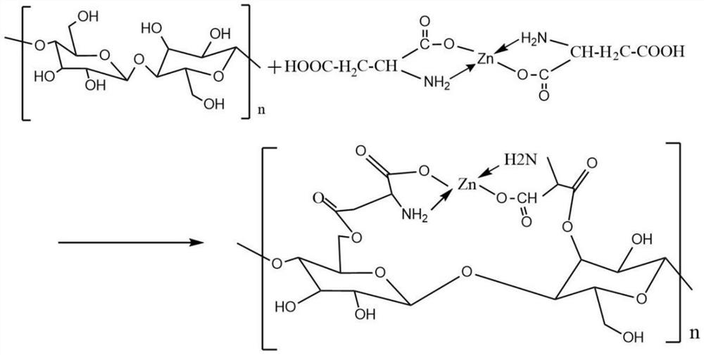 A kind of preparation method and application of amino acid chelated zinc modified lamina tencel fiber